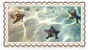 starfish_by_glittersludge_day7wcw-fullvi