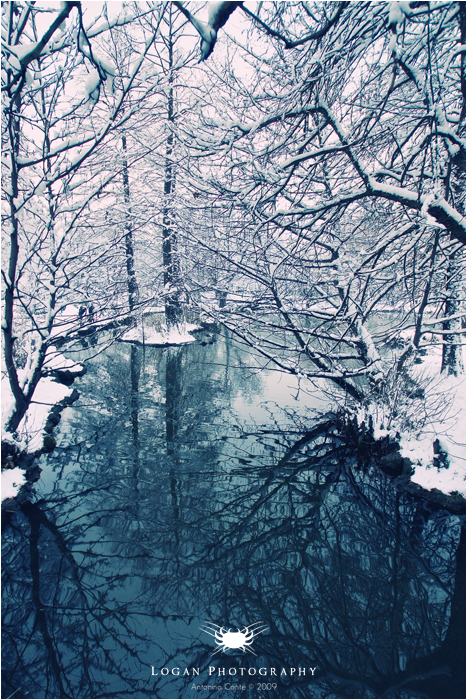 Milan - Lagoon and snow