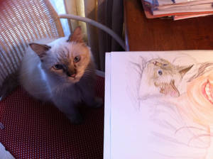 I am prettier than her drawing!