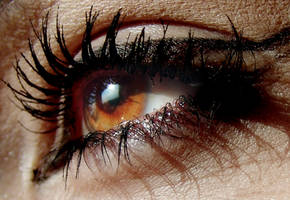 decay 009: eye II