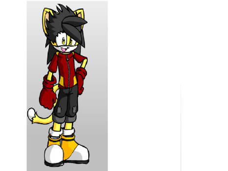 Phoenix The Cat: Male Furry Dollmaker