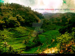 lets make Indonesia greener by eugeniaclara