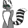 Anthro raccoon