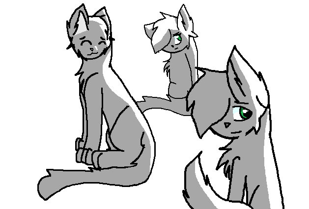 photo Deviantart Cat Group Base cat group base by zashachan on deviantart