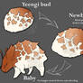 Baby yeengi development chart