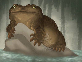 Ogre (open species)