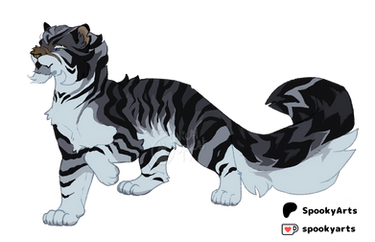 Cat adopt closed