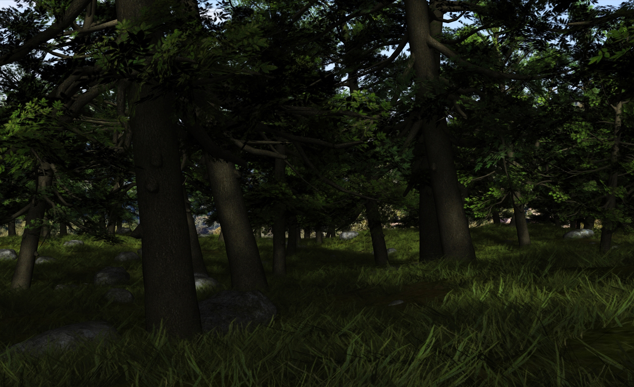 Forest Tryout 2