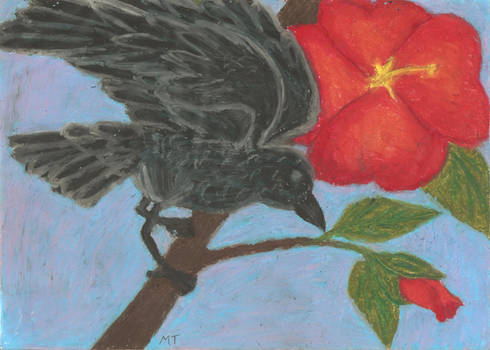 A Crow and Flowers