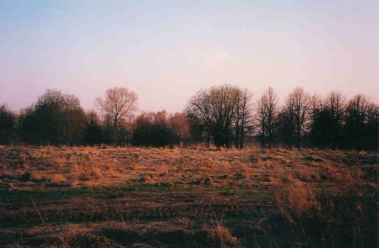 Field