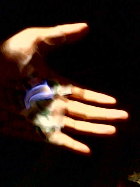 Flame Held In Palm