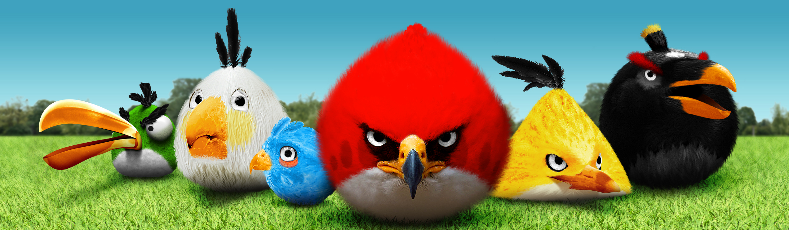 The Angry Birds