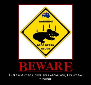 Drop Bear warning | Poster