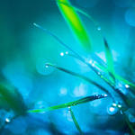 Immersion by John-Peter