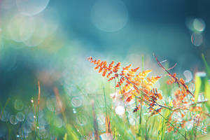 Child of Light by John-Peter Child of Light by John-Peter