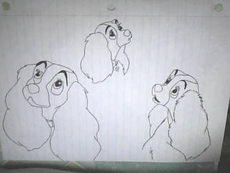 Disney - Lady Sketches