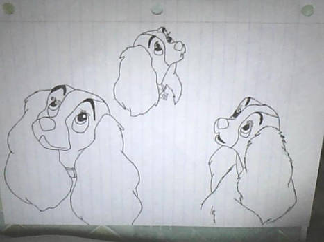 Disney - Lady Sketches