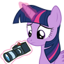 Twilight Took Pictures With The Camera