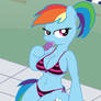 Dashie Summer