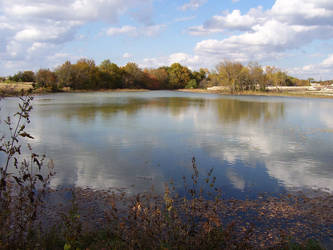 Lake Stock