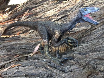 Repainted raptor by FenrisVakarian on DeviantArt