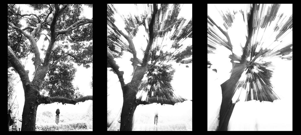 warp-tree by bransuwandrei on DeviantArt