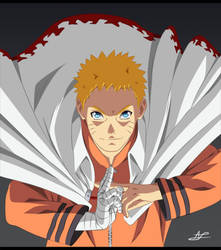 Uzumaki Naruto the 7th Hokage