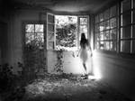 HP 7 by Feebrile