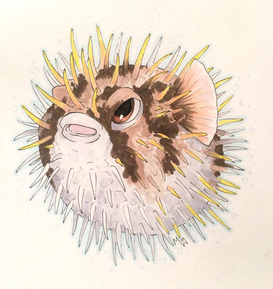 Inktober 2017 Pufferfish By Tirameeksu On DeviantArt inktober-2017-pufferfish-by-tirameeksu-on-deviantart