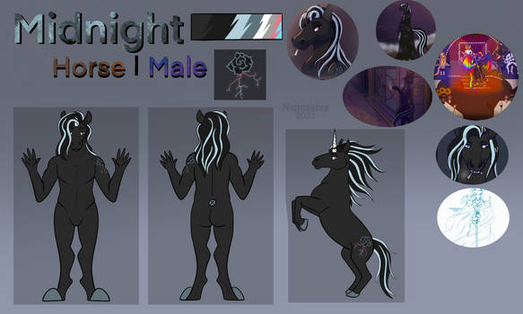 [C]Midnight Reference Sheet