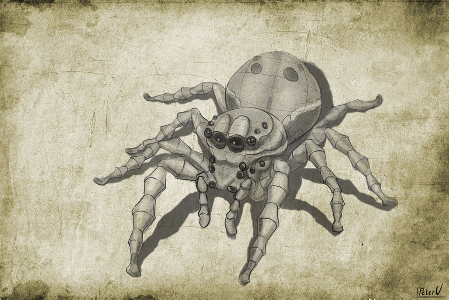 Spider Insect Deviantart Spider by Enter-The-PeterU on DeviantArt