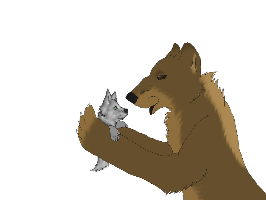 faolan and thunderheart