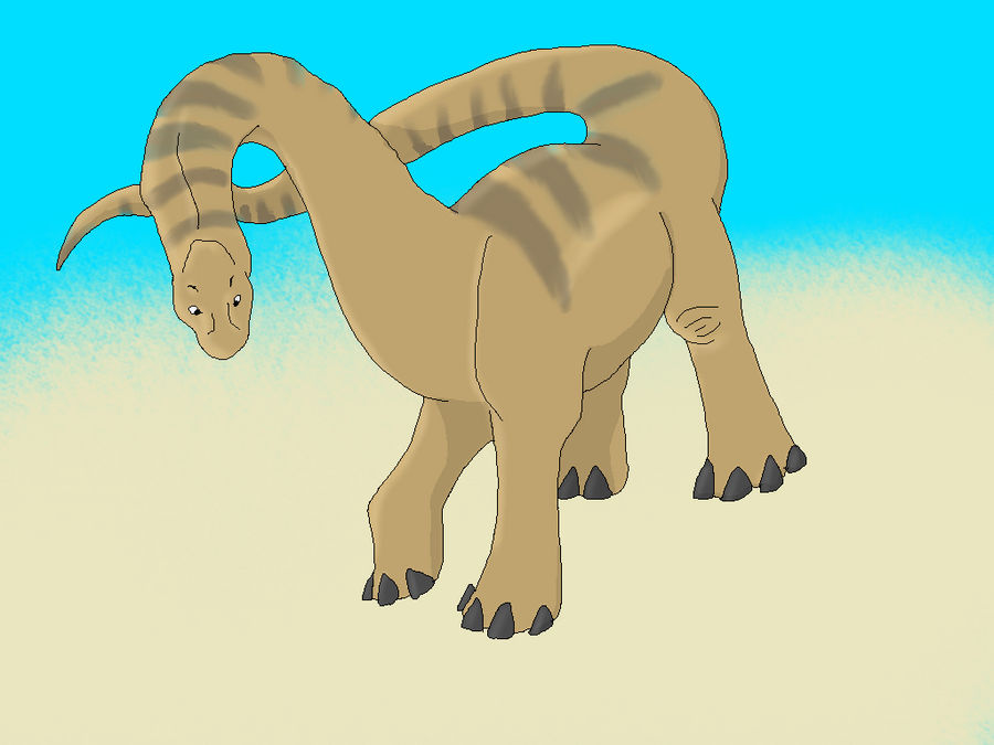 Amphicoelias fragillimus