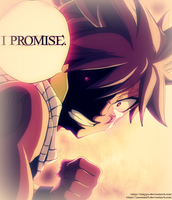 Fairy Tail 324 The promise