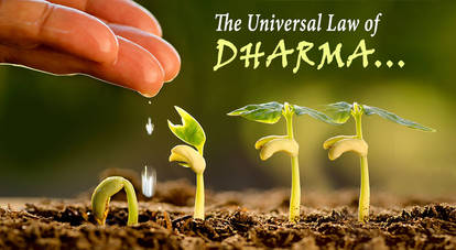 The Universal Law of Dharma.