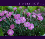 I  miss you ... by ForgivenDreamSoul