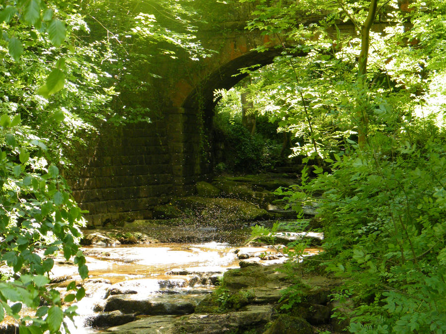 Midges over Stream