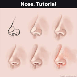 Nose. Tutorial