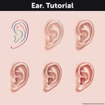 Ear. Tutorial