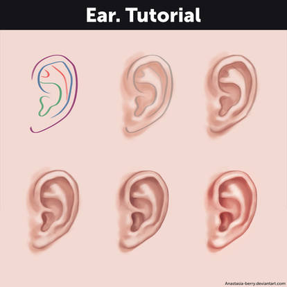Ear Drawing Tutorial By Hikarimichi On Deviantart