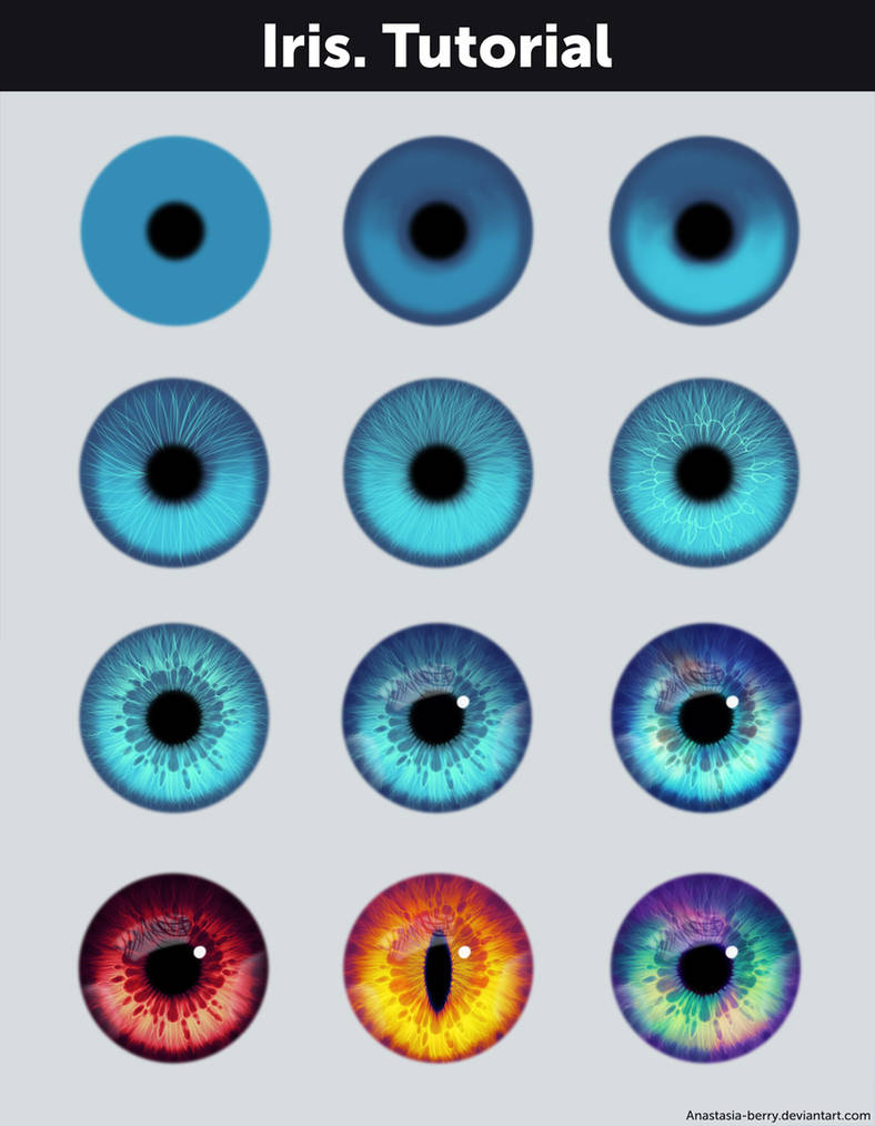 Iris. Tutorial + References by Anastasia-berry