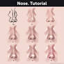 Nose. Tutorial