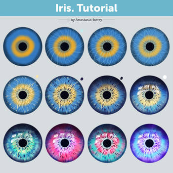 Iris. Tutorial