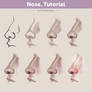 Nose. Tutorial | How To Draw