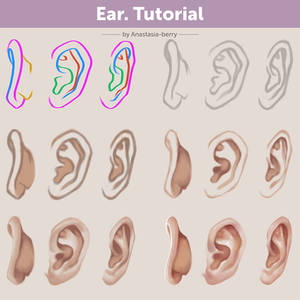 Ear. Tutorial