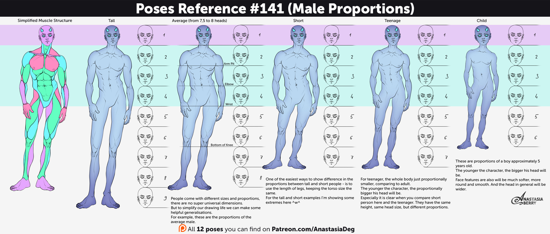 Proportion Poses Poses References #141 (male anatomy proportions) by Anastasia-berry on ...