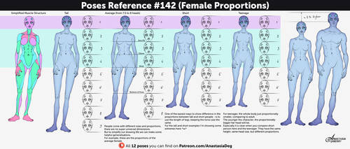 Poses References #142 (female anatomy proportions)