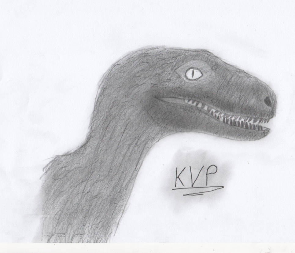 Raptor002 001 by KVpaule on DeviantArt