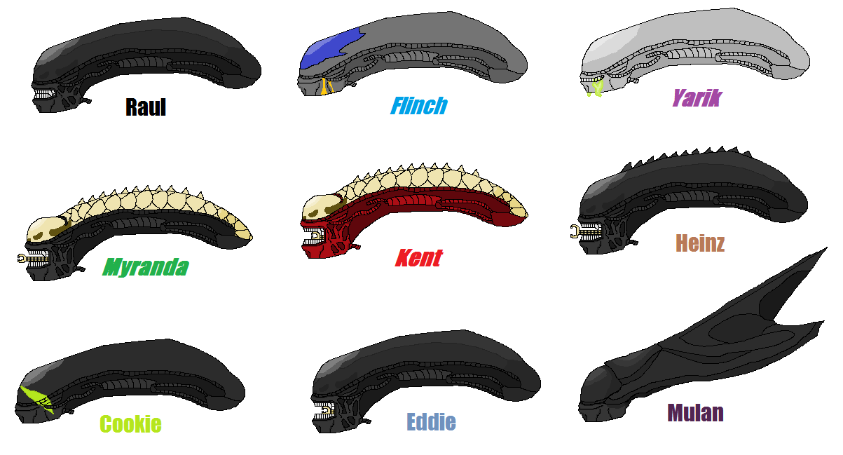 Xenomorph Profile Pics