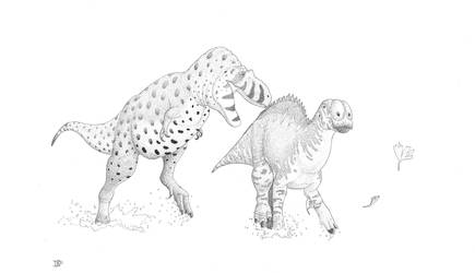 Daspletosaurus and Brachylophosaurus